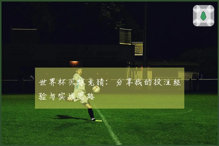 世界杯买球竞猜：分享我的投注经验与实战思路