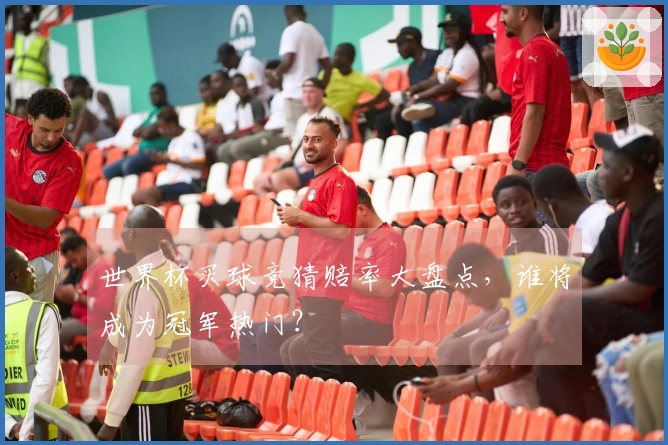 世界杯买球竞猜赔率大盘点，谁将成为冠军热门？