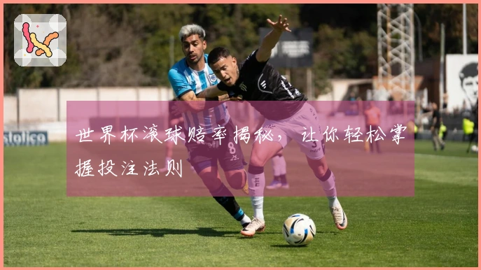 世界杯滚球赔率揭秘，让你轻松掌握投注法则