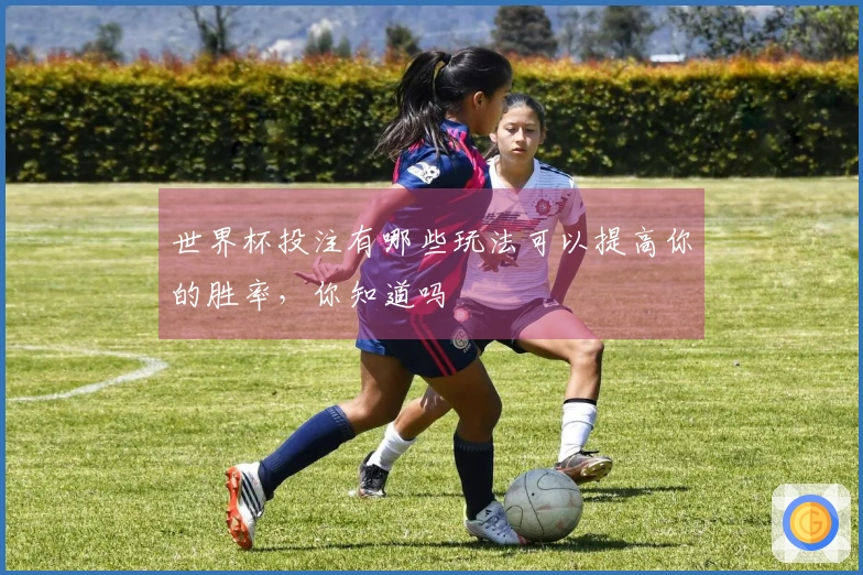 世界杯投注有哪些玩法可以提高你的胜率，你知道吗