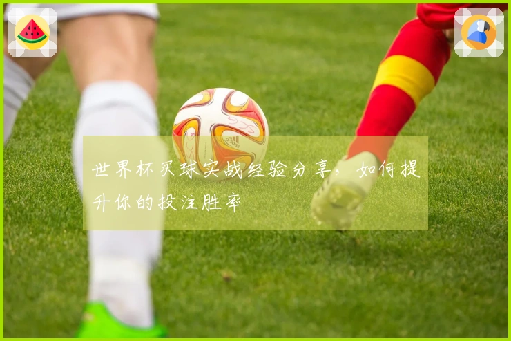 世界杯买球实战经验分享，如何提升你的投注胜率